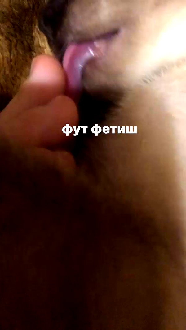 stea0diness archive video preview