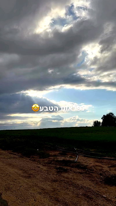 laluzone laluzone archive video