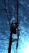 hirari_rurero Altpins Profile Picture