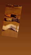 dante_yangpa Altpins Profile Picture