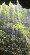 nikoleta.milenova Altpins Profile Picture