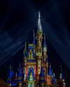 augus.gimenez Altpins Profile Picture
