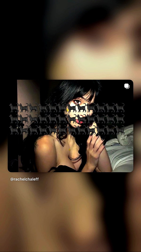 rachelchaleff archive video preview