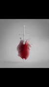 shakira Altpins Profile Picture