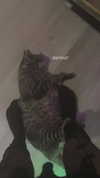 famous_wu24 Altpins Profile Picture