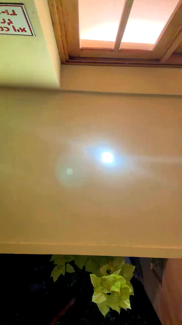 yuval_raz archive video preview