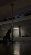 lital.shli Altpins Profile Picture