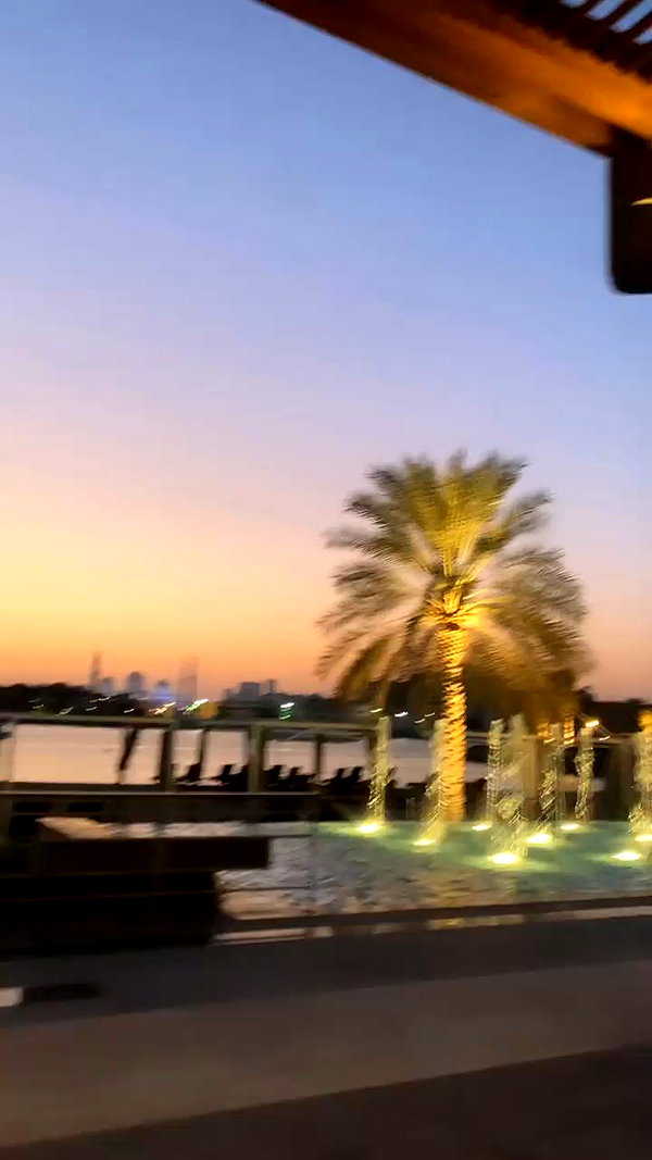 refaella_twina archive video preview