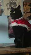 feelbetterinmysweater Altpins Profile Picture