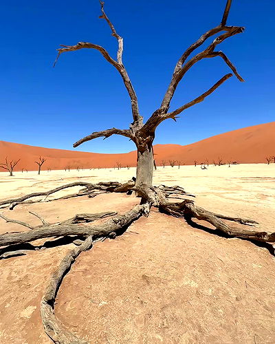 taylor.creeden taylor.creeden archive video