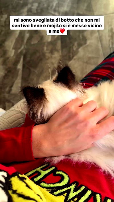 kasumi_sen kasumi_sen archive video