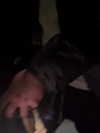 6nattynat9 Altpins Profile Picture