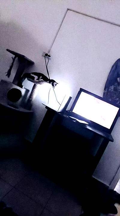 moonyyyya moonyyyya archive video