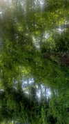elizabethcampbelljones Altpins Profile Picture