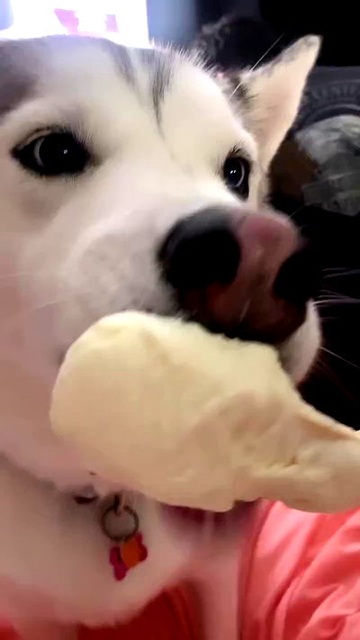 dracuina dracuina archive video