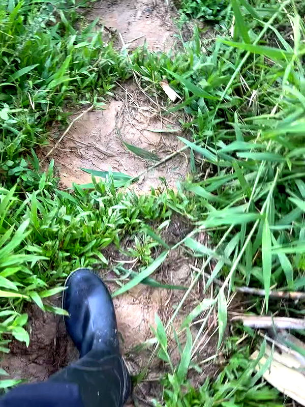 mishell.lindaflor archive video preview