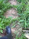 mishell.lindaflor Altpins Profile Picture