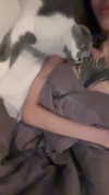 275.cn Altpins Profile Picture
