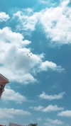 sonia_litvanchuk Altpins Profile Picture