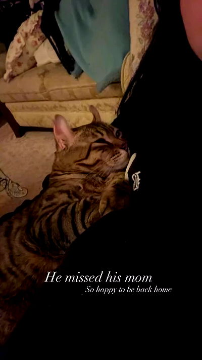 laurinchhhe laurinchhhe archive video