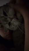 natalllluli Altpins Profile Picture