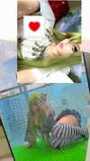 imskirby Altpins Profile Picture