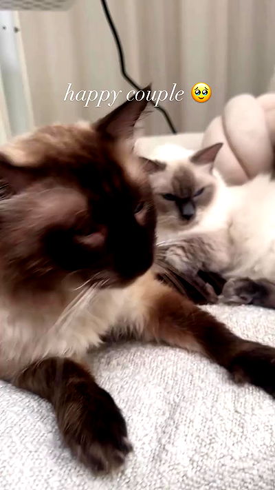 jasminxie2 jasminxie2 archive video