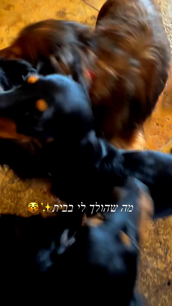libby_reut archive video preview