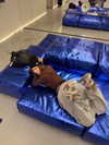 gritsa.k Altpins Profile Picture