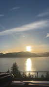 elsgatti Altpins Profile Picture