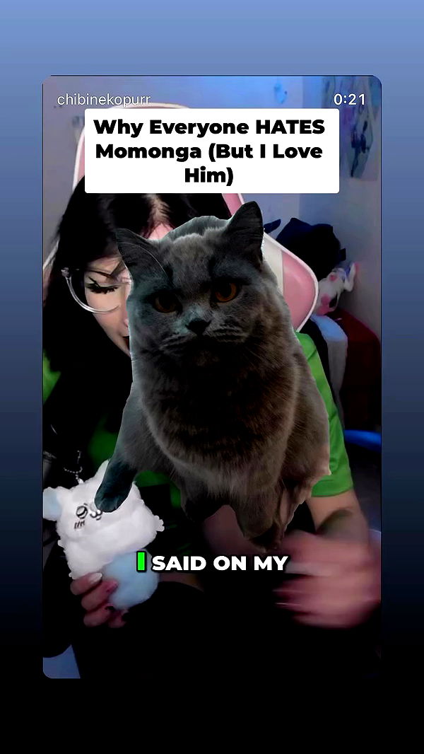 chibinekopurr archive video preview