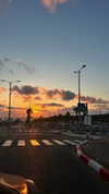 stav_menashe_ Altpins Profile Picture