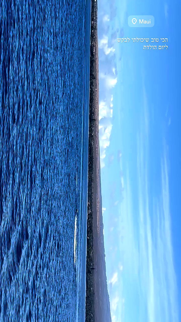 maori_cohen archive video preview