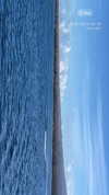 maori_cohen Altpins Profile Picture