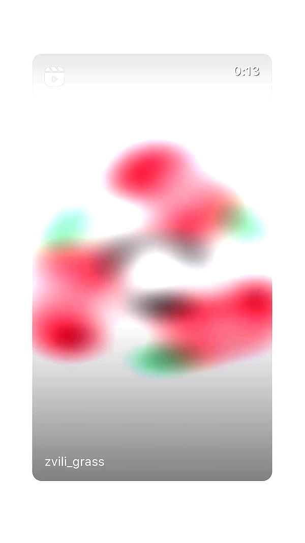 _.shelichka._ archive video preview