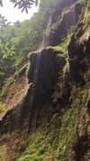 nikoleta.milenova Altpins Profile Picture