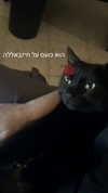 feelbetterinmysweater Altpins Profile Picture