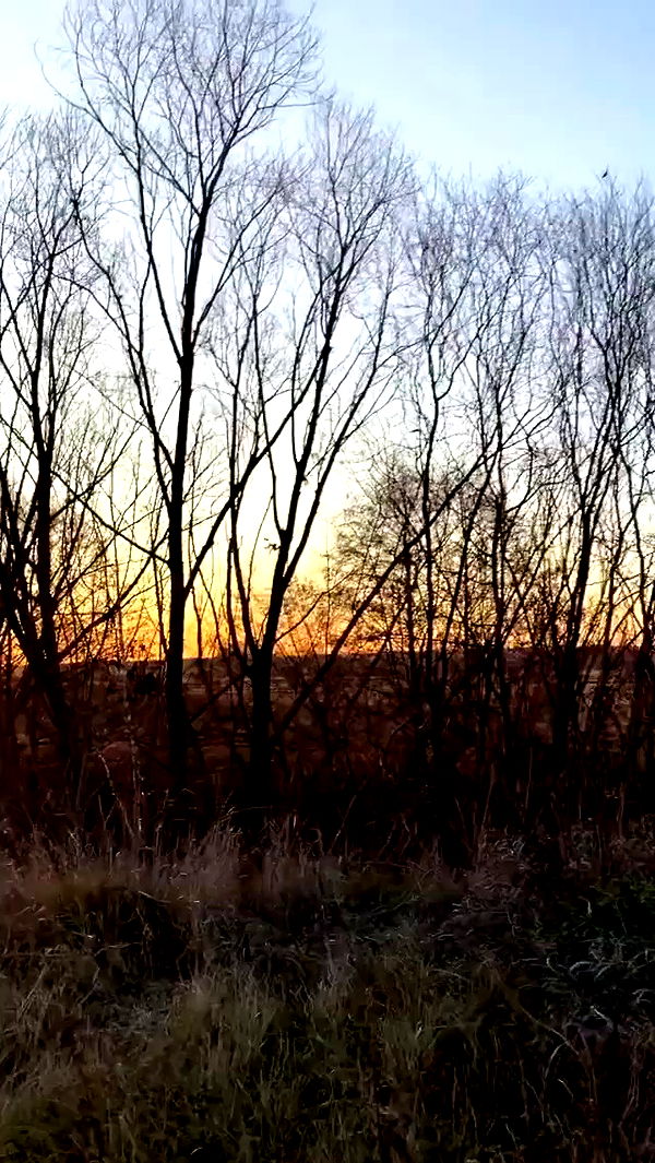 nyityam archive video preview