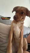 lera.genadenik Altpins Profile Picture