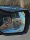 hadas_mayer_ Altpins Profile Picture