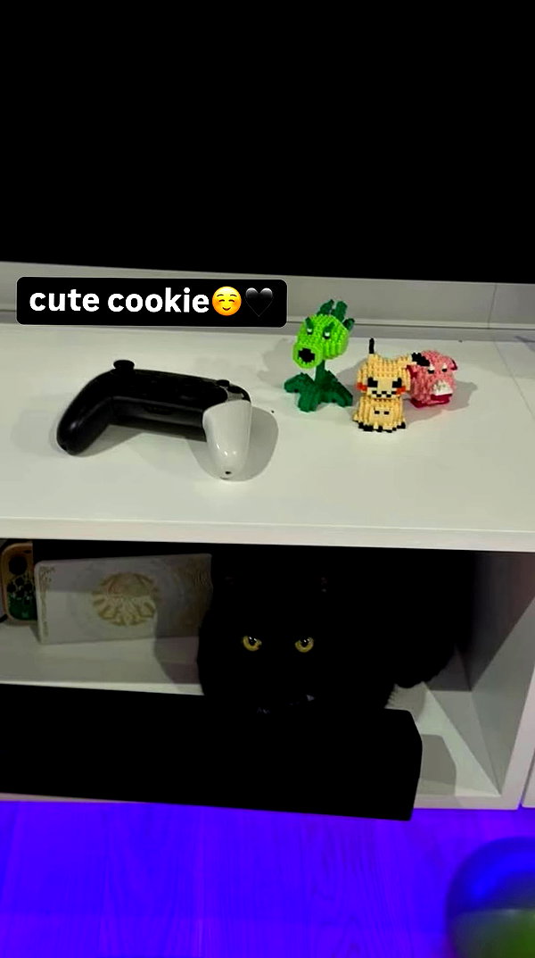 nicoleponyxox archive video preview