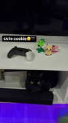 nicoleponyxox Altpins Profile Picture
