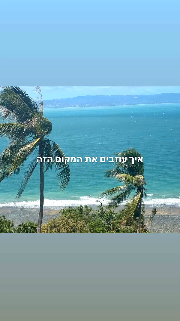 elia.shinar archive video preview