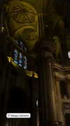 rott3nbambi Altpins Profile Picture