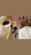 cellow111 Altpins Profile Picture