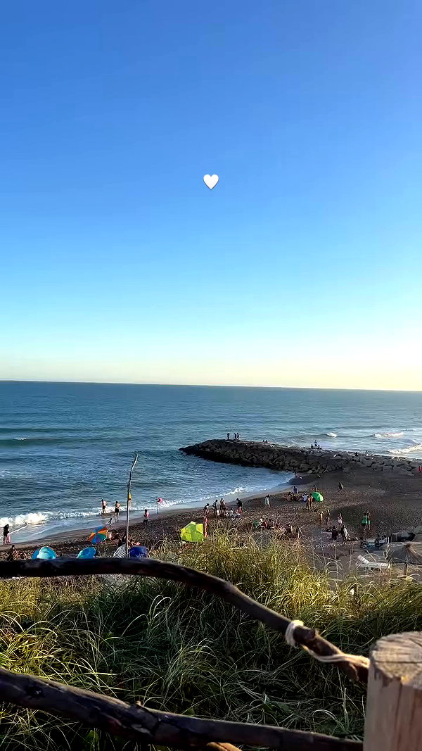 _aldibernardo archive video preview