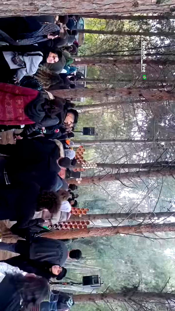 shaharo__._ archive video preview