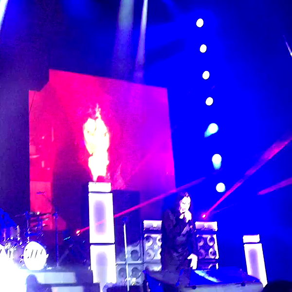 karin_orhov archive video preview