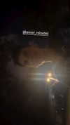 hellokittyangel666 Altpins Profile Picture