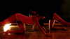 suspiria.em Altpins Profile Picture
